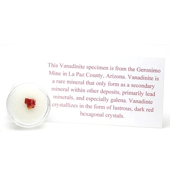 Vanadinite Specimen Crystal Cluster Mineral Geronimo Mine AZ w/ Case & ID Card - Picture 2 of 2